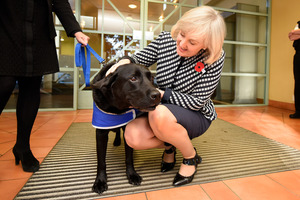 Court Minister Amy Adams visiting Tauranga District Court who met Louie the dog which helps calm child witnesses giving evidence at trials. Photo/George Novak