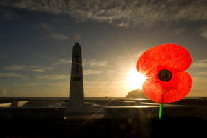 The RSA says the 2 Cheap Cars ad and its Anzac Day reference is 'unacceptable'. Photo / Alan Gibson