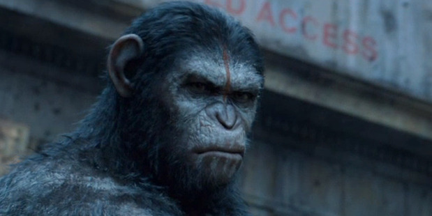 A scene from the movie Dawn of the Planet of the Apes.