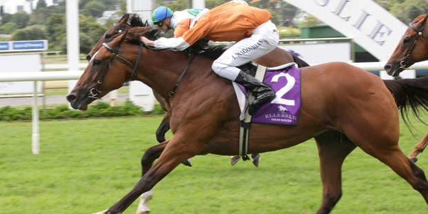 Rising Romance contests the QEII Cup at Sha Tin tomorrow.