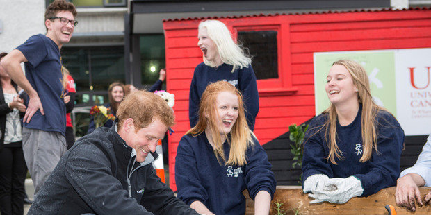 Prince Harry joins with University of Canterbury Student Volunteer Army students in 2015.