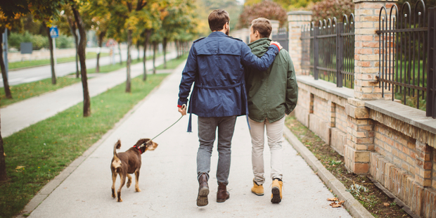 Researchers found that people with higher degrees of pet bonding were more likely to take their dogs for a healthy walk. Photo / iStock