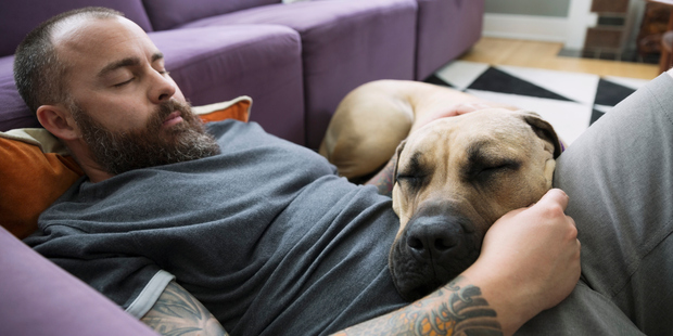 Dog ownership is good for the heart. Photo / Getty Images