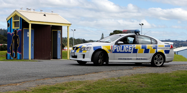 Police attend a call-out on Riverside Drive near the skate park. Photo / John Stone