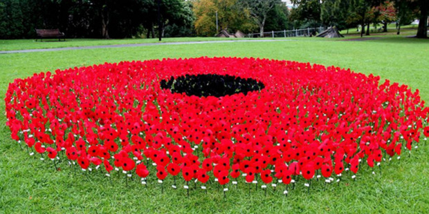 This poppy commemoration was spotted in Ponsonby.