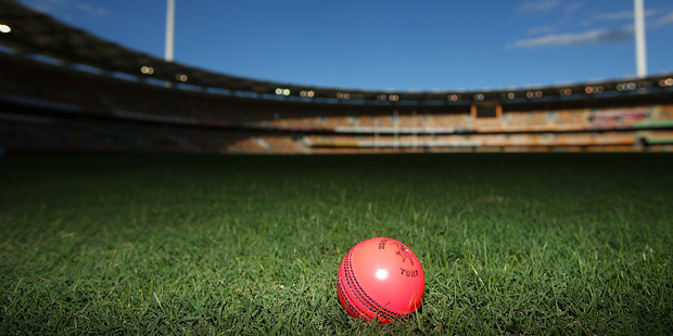 The Black Caps may play another pink ball test in India in October. Photo / Getty