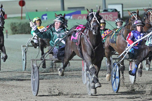 Speeding Spur. Photo / Stuart McCormick