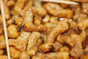Huhu grubs are just one of the delicacies on offer at Hokitika's annual Wildfoods Festival. Photo/File