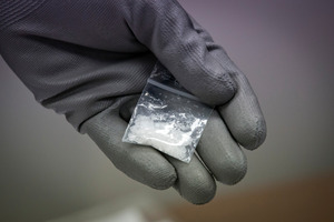 Around half a tonne of illegal substances seized by Customs were destroyed. Photo/File