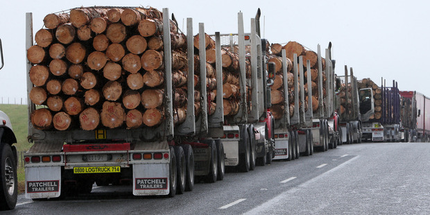 Dallas Hickey died in February 2014 after the logging truck he was driving left the road. Photo/File