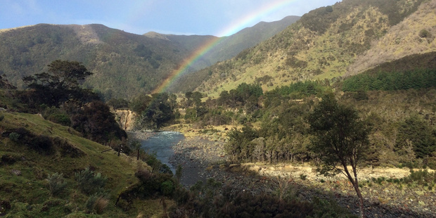 Tararua Forest Park. Photo / Garry Bartlett