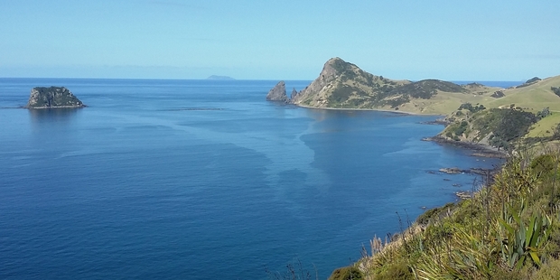 Looking toward Fletcher Bay from Coromandel's most northern point. Photo / Coromandel Adventures