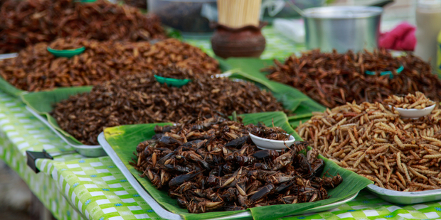 Fried crickets for sale in Thailand. Photo / iStock