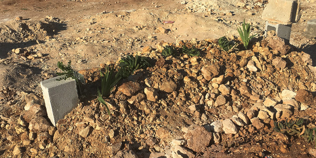 The grave of Zaher al-Shurqat, a Syrian rebel who was assassinated by an apparent Isis militant in southern Turkey. Photos / Washington Post