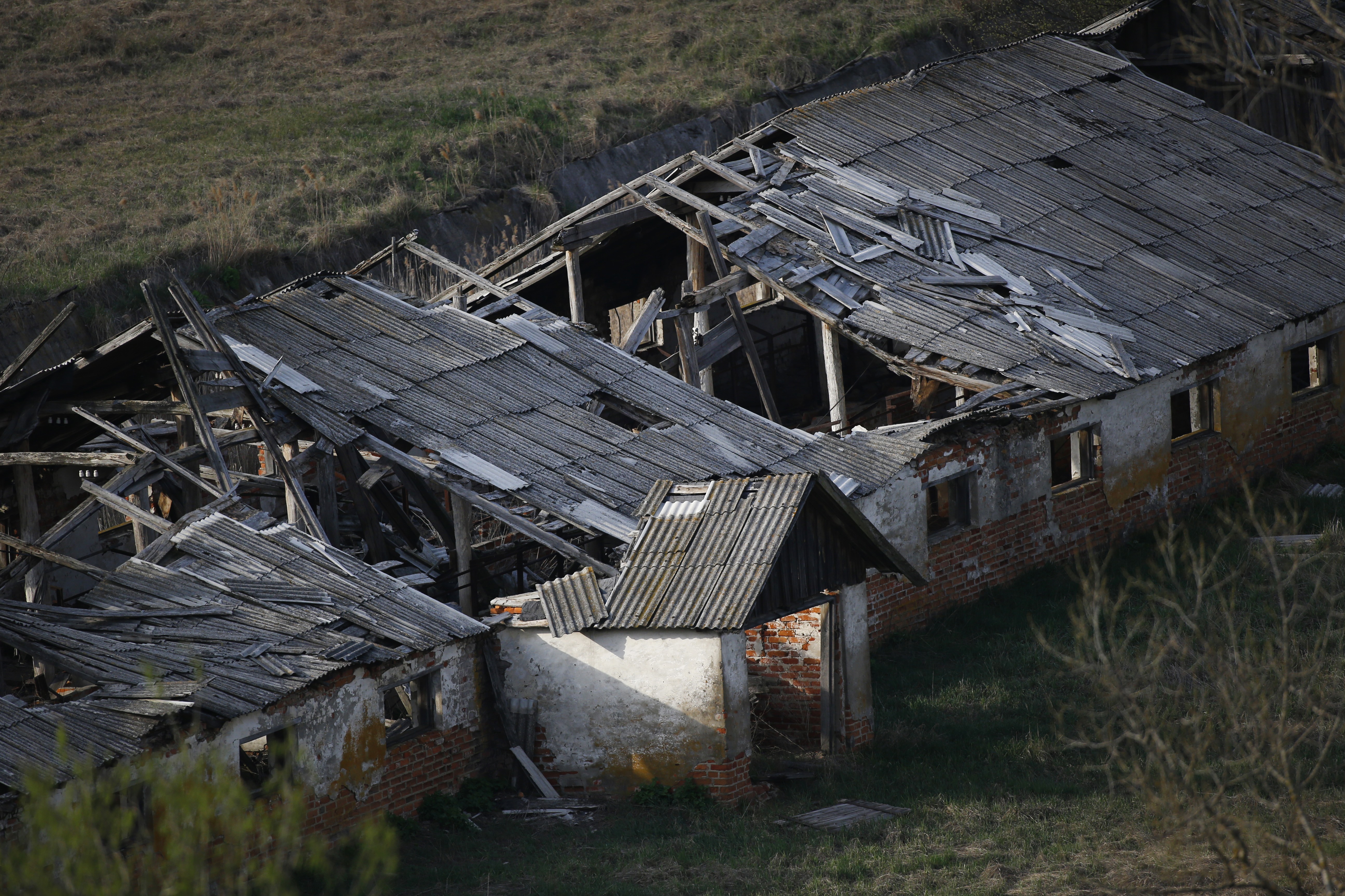 The abandoned village of Krasnoselie, north of Chernobyl. Photo / AP