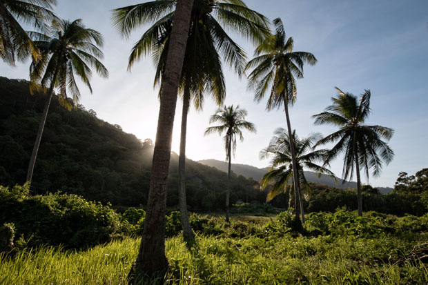 Ko Lanta.