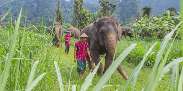 Elephant Hills.