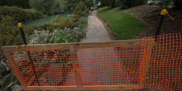 The orange temporary fencing on West End Rd, opposite Cox's Bay Reserve. Photo / Nick Reed