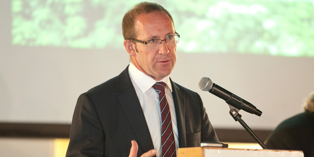 Labour leader Andrew Little will tomorrow make a bid to raise minimum standards of heating and insulation for rental properties. Photo / Ben Fraser