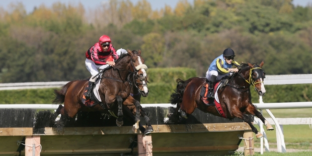 San Pedro (red cap, left) and Thenamesbond at Te Rapa yesterday. Photo / Trish Dunell