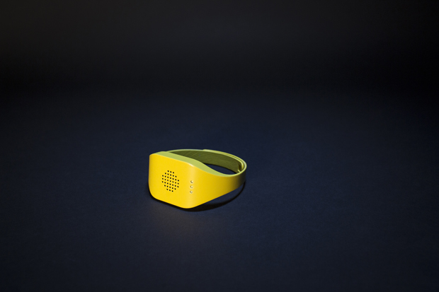 A world first - the 'Catterbox' collar. Photo / Temptations
