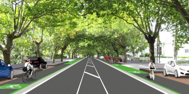 The historic trees will have their roots protected from vehicles by redefining the berm area, the council says. Photo / at.govt.nz