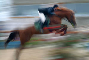 The five-year no-casualty gap that preceded Tuesday's and yesterday's sad losses is much more than even the most ardent jumps racing fan could have hoped for. Photo / iStock