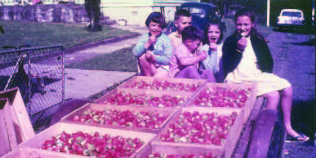 Childhood was not always hard work for Jak Jakicevich and his siblings. Photo / Supplied