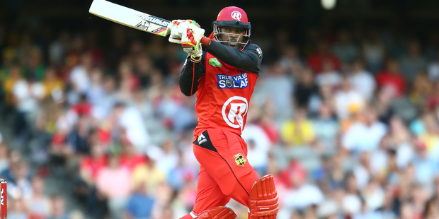 CA are livid with Chris Gayle's behaviour and the riot act has been read to him that if he puts so much of a toe out of line before this season is through. Photo / Getty Images