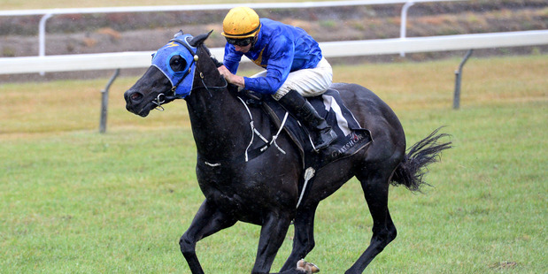 Antonio Lombardo is on his own at the finish of the New World Summer Cup. Photo / Trish Dunell