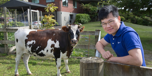 Glen Chen believes New Zealand's forests offer huge opportunity. Photo / Alan Gibson