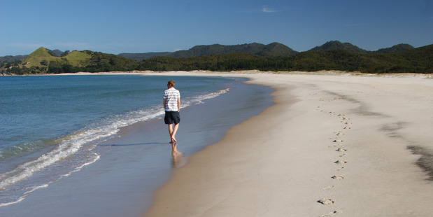 Great Barrier's majestic beaches like Kaitoke are only a half-hour flight from Auckland.