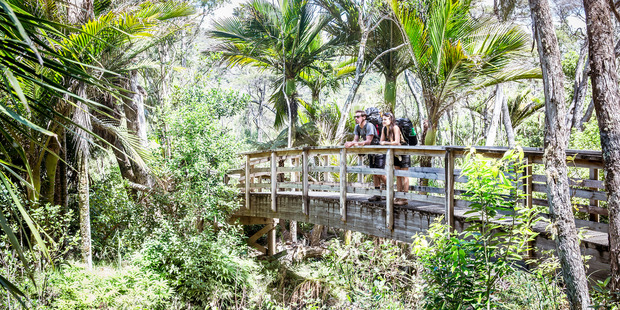 Great Barrier Island is home to stunning views.