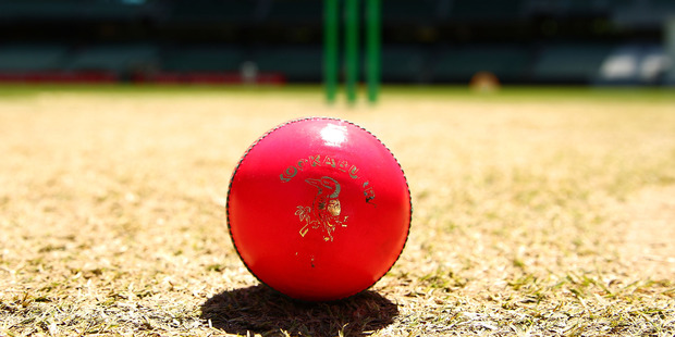 But maybe this episode is more about the cricket than the porn. Photo / Getty Images