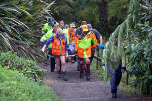Drowning at Kaiate Falls, Welcome Bay, Tauranga. Photo/file