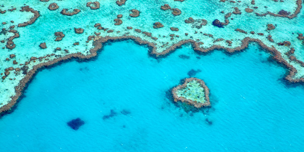 Heart Reef near Whitsunday Islands.
