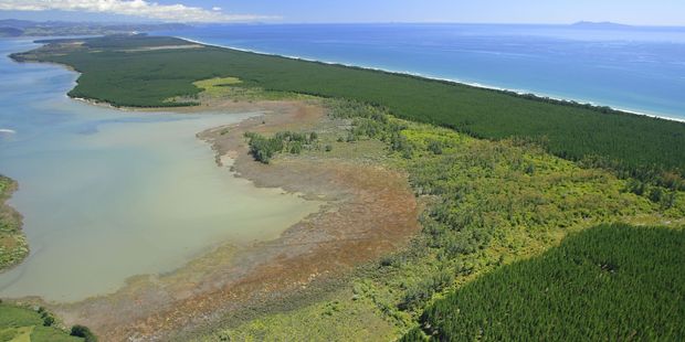 Matakana Island.