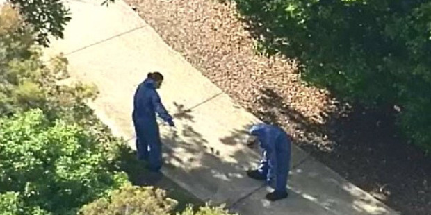 Police examine the scene. Photo / 9 News