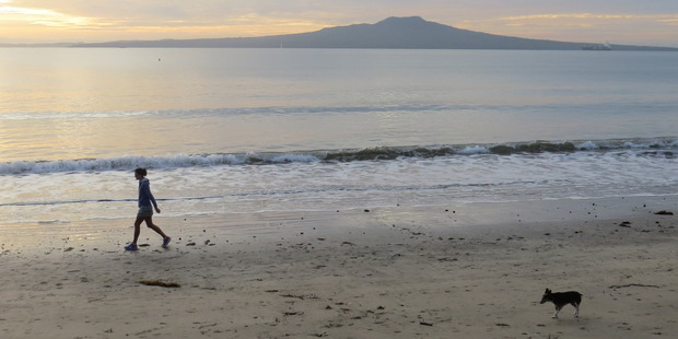 Takapuna Beach is well used but is more fun needed?