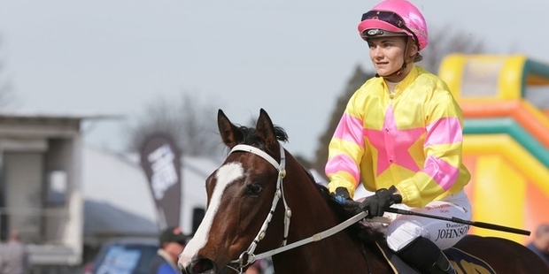 The connections of Serious Satire have gone cold on a winter trip to Brisbane. Photo / Trish Dunell