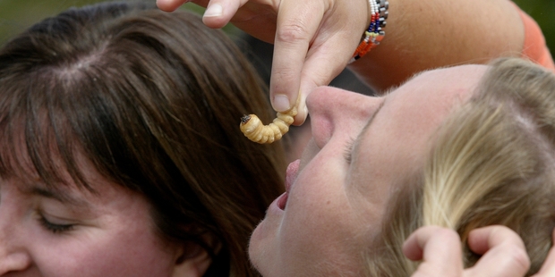 Eating creepy crawlies is good for you and the planet. Photo / Richard Robinson