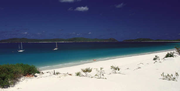 Whitehaven Beach, Whitsunday Island. Photo / Supplied