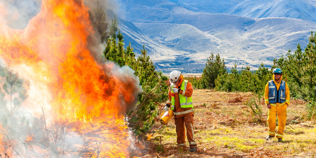 Grant Pearce (right) and a researcher at an experimental burn. Photo / Scion