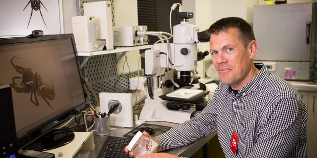 Arachnologist Dr Cor Vink has been fascinated by eight-legged creatures since childhood. Photo / Canterbury Museum