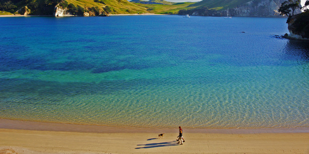 Mercury Islands in Whitianga Coromandel.