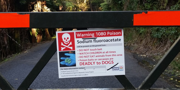 The largest 1080 poison operation in New Zealand's history will be launched this winter. Photo / Supplied via Michael Hepburn
