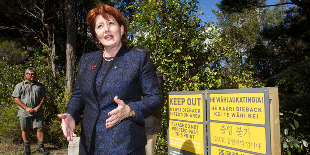 Conservation Minister Maggie Barry. Photo / Jason Oxenham