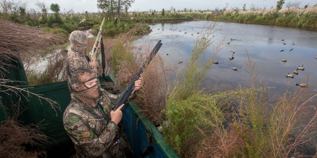 A shotgun pellet struck a duck hunter in the eye near Akitio on Saturday. Photo display only. PHOTO/FILE