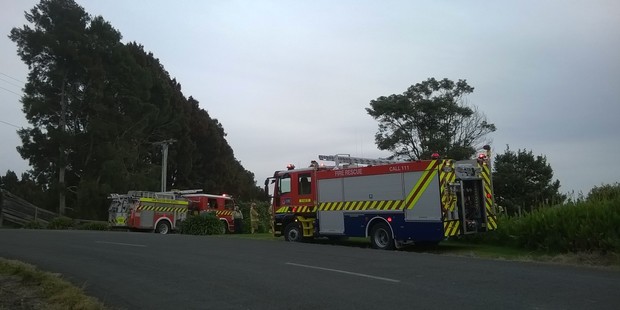 Fire fighters at the scene of a light plane crash in Tauranga.