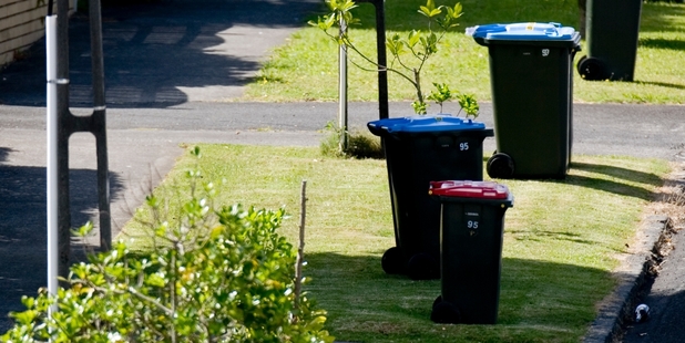 A bin is a bin, writes Jane about the dog-poo moan.